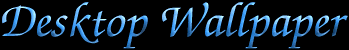 banner_wall.gif (6416 bytes)